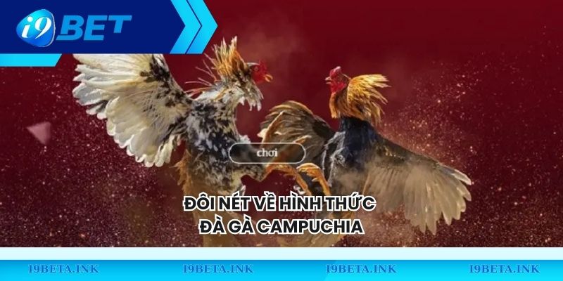 Đôi nét về hình thức đà gà Campuchia